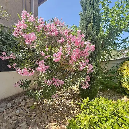 דירה T3 Private Garden 2 Steps From The Center-clim Saint-Raphaël